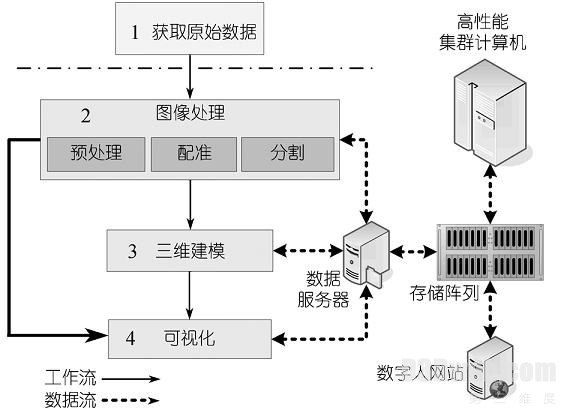 图1 高分辨数字人体数据集的构建与可视化流程图