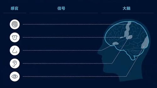 Facebook虚拟现实技术