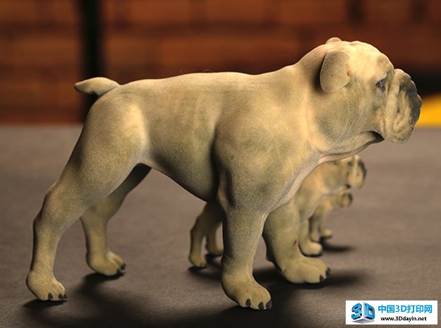 全彩色砂空心斗牛犬。图源：shapeways.com