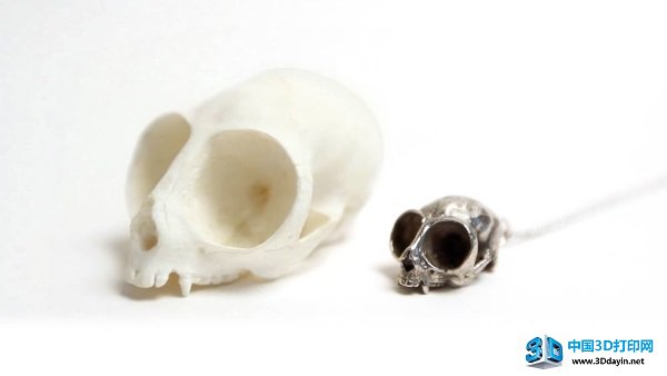 fire-bone-3d-printing-3d-scanning-skull-2