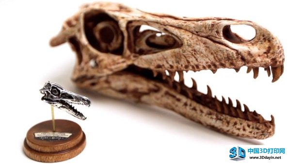 fire-bone-3d-printing-3d-scanning-skull-5