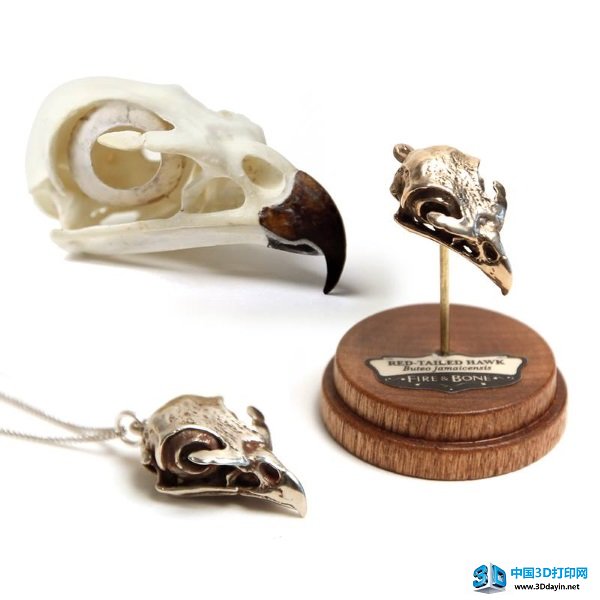 fire-bone-3d-printing-3d-scanning-skull-7