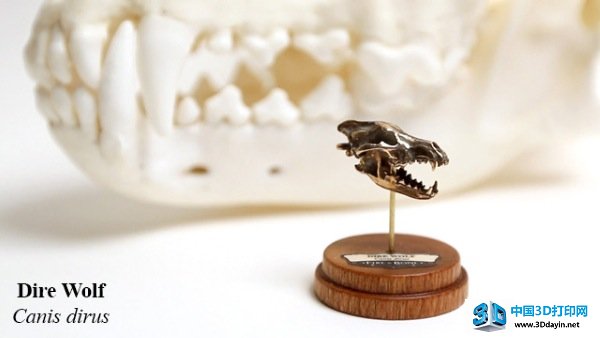 fire-bone-3d-printing-3d-scanning-skull-10