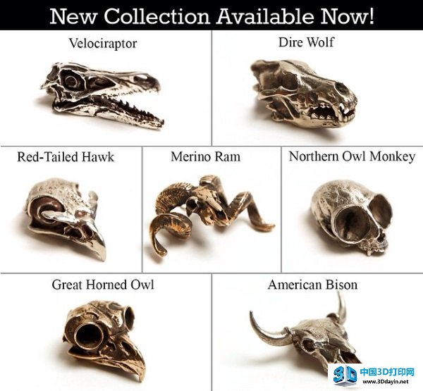 fire-bone-3d-printing-3d-scanning-skull-6