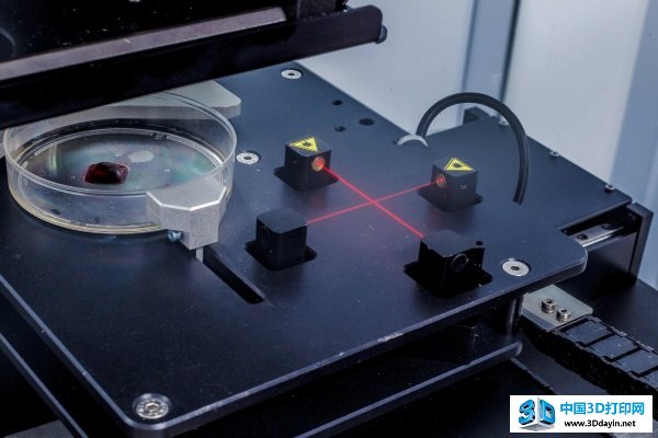 bioprinter-russia-3D-Bioprinting-Solutions-6