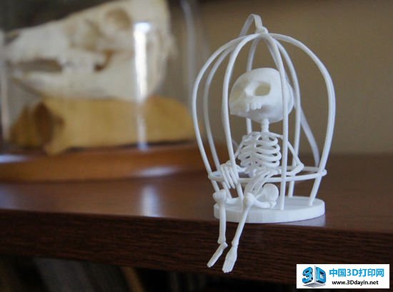 对恐惧彻底say bye！3D打印精美骨骼