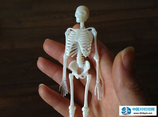 对恐惧彻底say bye！3D打印精美骨骼