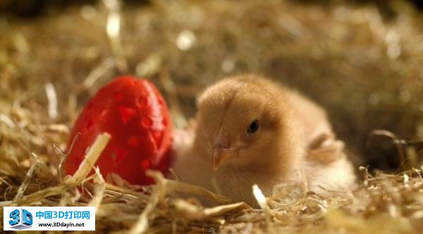 adobe-charlie-3d-egg-2