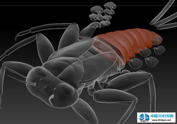 life-like-insect-models-3d-printing-6