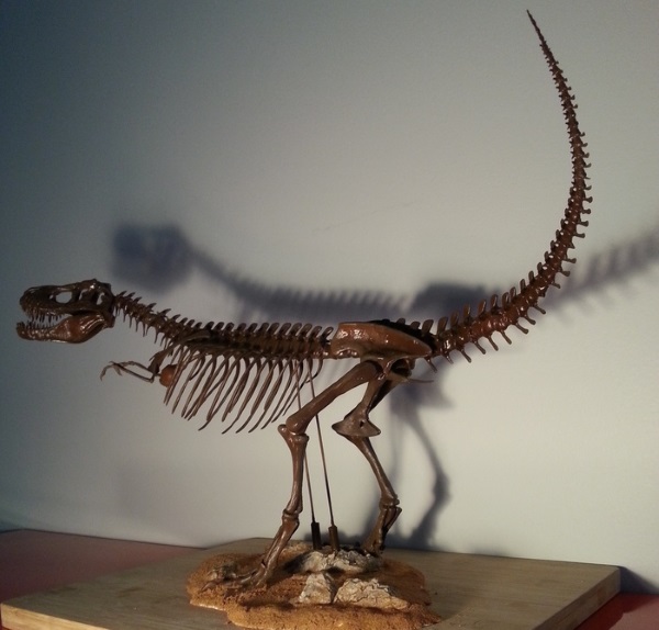 T-Rex-skeleton-3d-printed-2