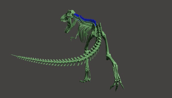 T-Rex-skeleton-3d-printed-3