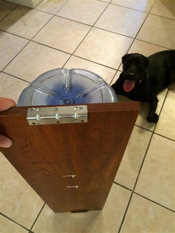 3D打印全自动宠物喂食机