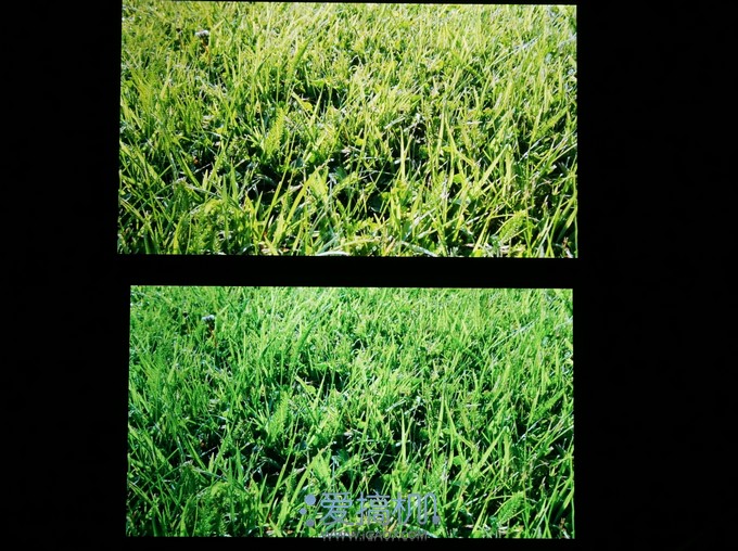 nEO_IMG_DSC03680
