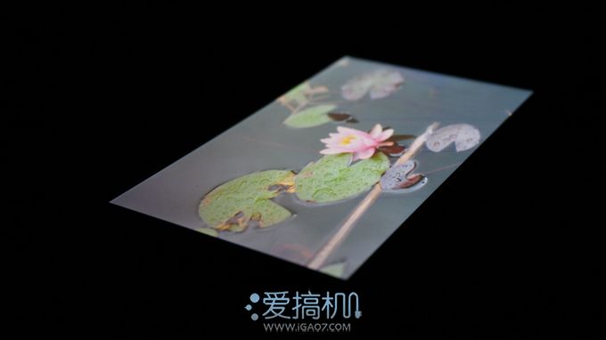 nEO_IMG_DSC03691
