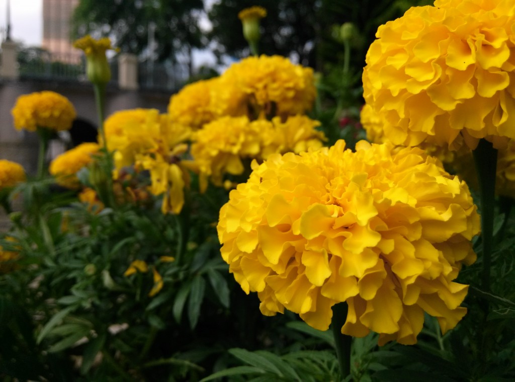 IMG_20130530_162039