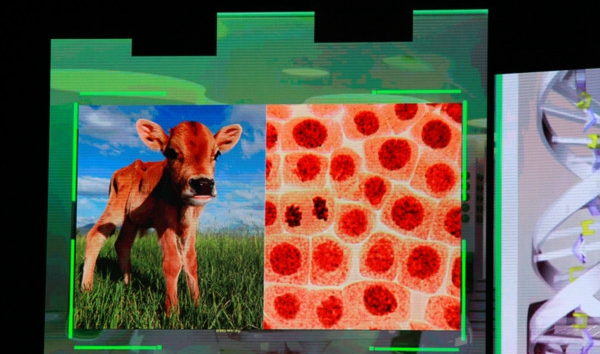 当吃货遇上科技 那些年我们见过的食品3D打印机 当吃货遇上科技 那些年我们见过的食品3D打印机