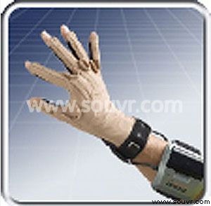 CyberGlove II - 22 Sensors