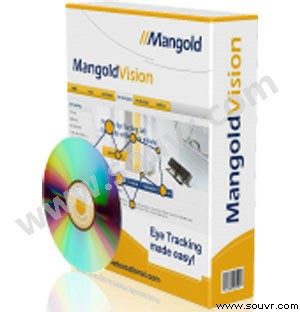 Mangold Vision 固定式眼动仪