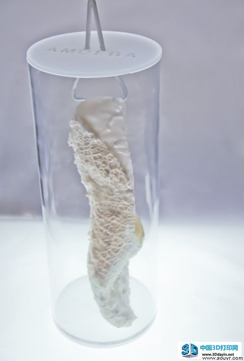 3D打印趣味小玩意儿 共烹圣诞季大餐
