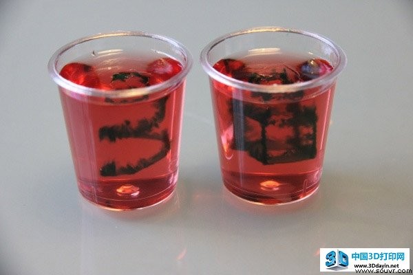 用旧光驱制成的3D打印机，能够在果冻中打印立体花案