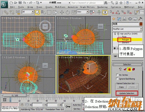 3D Max使用Hair and Fur修改器设置毛发效果,PS教程,设友公社教程网