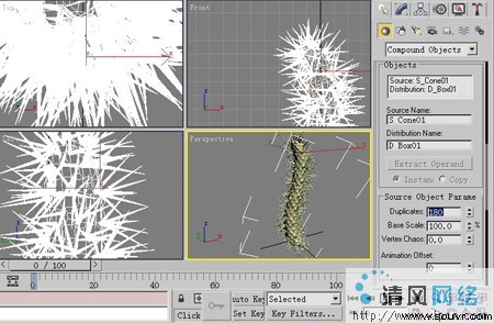 3D Max图文教程:3ds Max制造逼真仙人刺[多图]图片29