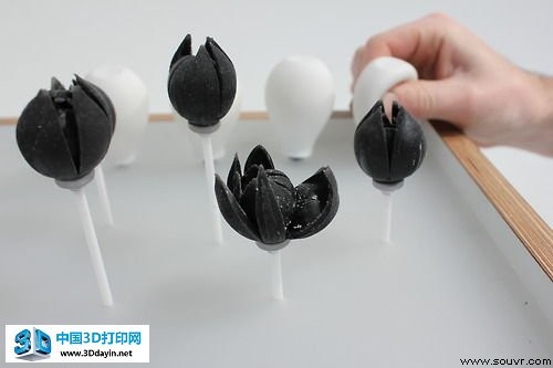 可充气复合材料3D打印花朵 绽放的美丽