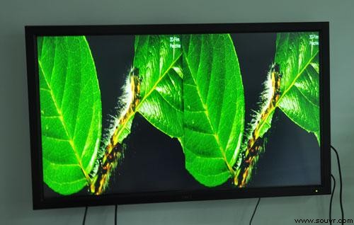 经Evis技术处理的左右视图4K图像，合成后实现强烈立体感、高清晰度、高亮度、颜色鲜艳的显示效果 