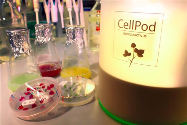 芬兰VTT研发出可在一周内长出食物的3D打印孵化器CellPod