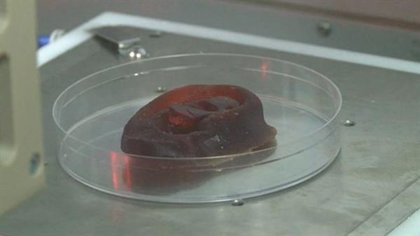 英国医院计划在3-4年实现生物3D打印再生器官