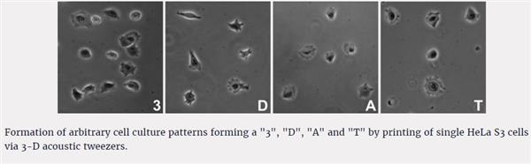 华裔科学家开发“声波镊子”可生物3D打印单细胞