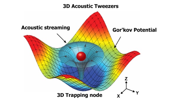 华裔科学家开发“声波镊子”可生物3D打印单细胞