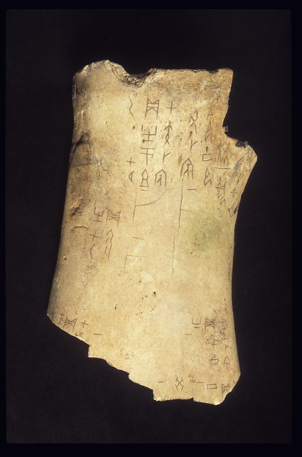 剑桥大学图书馆首次为馆藏甲骨文3D打印复制品