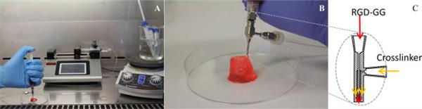 科学家找到可以3D打印出类似大脑结构的方法