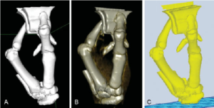 Process from CT scan data to Cubify software