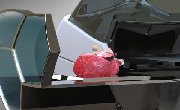 Nano dimension bio 3D printing 2