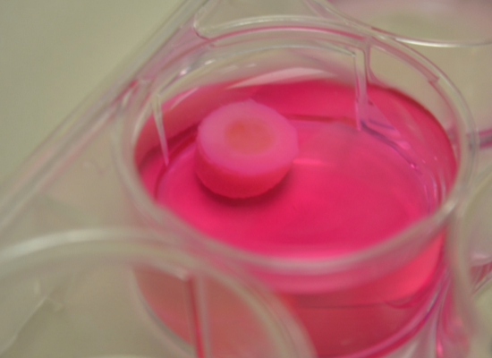 科学家找到3D打印更接近天然软骨组织的方法