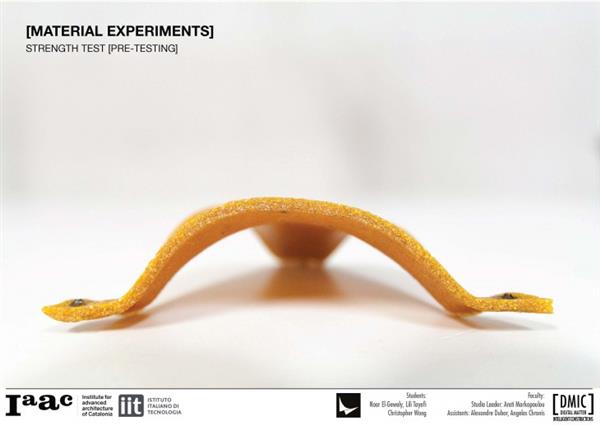学生科研小组用橘子皮做生物3D打印塑料