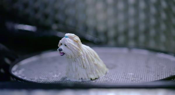 给狗狗3D打印一个迷你自己做生日礼物