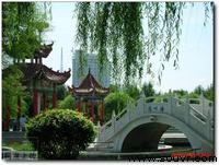 石河子大学校园