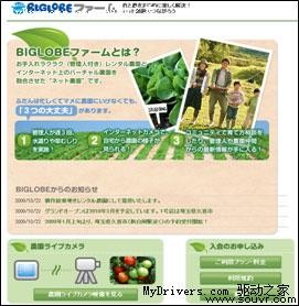 网上种菜网下收 NEC推虚拟现实农场
