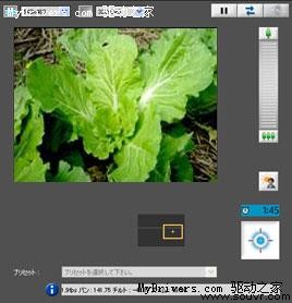 网上种菜网下收 NEC推虚拟现实农场
