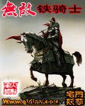 无敌铁骑士