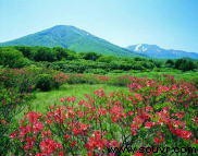 八甲田山