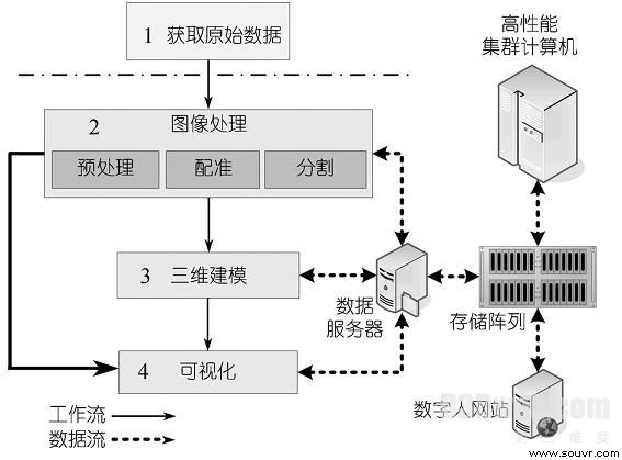 图1 高分辨数字人体数据集的构建与可视化流程图