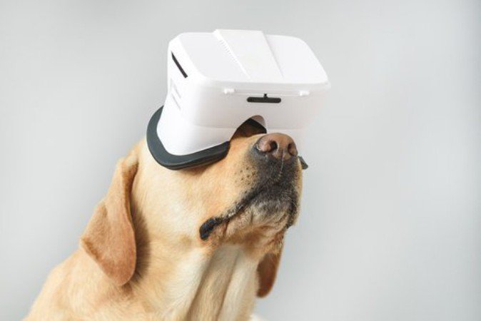 那些传说级的产品 4.1专供奇葩创意VR新产品公开