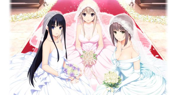 日本黄油举办与美少女VR结婚活动