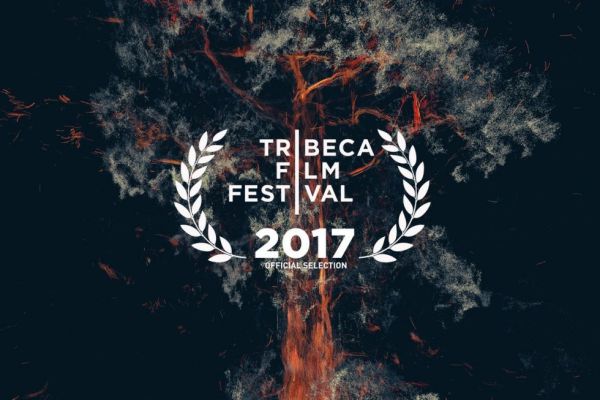纽约翠贝卡电影节2017出展VR作品掠影