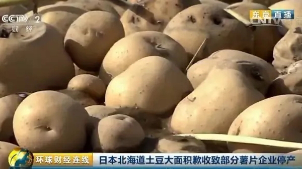 日本爆发薯片荒:逾40种薯片停售最贵炒到950一包